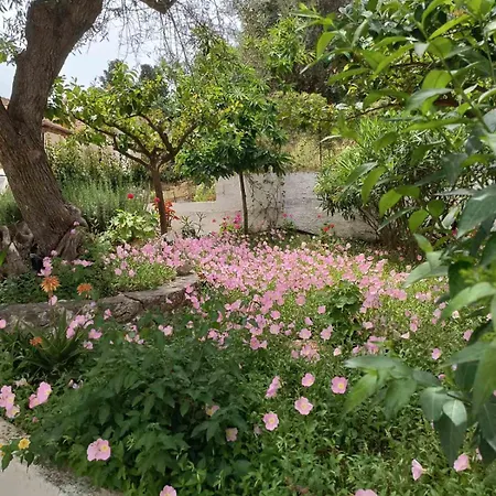 Apartmanhotel Valedina Nikiána