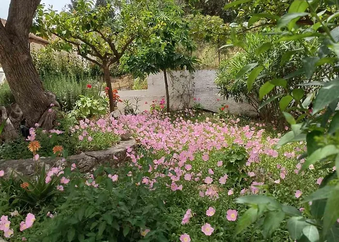 Apartmanhotel Valedina Nikiána