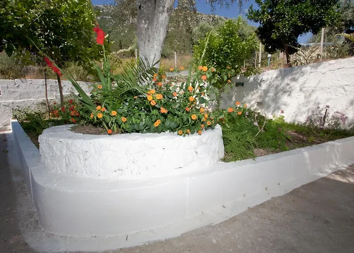 Valedina 3* Nikiána