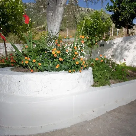 Valedina 3* Nikiána